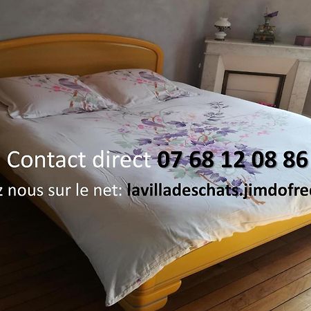 La Villa Des Chats Andresy Luaran gambar