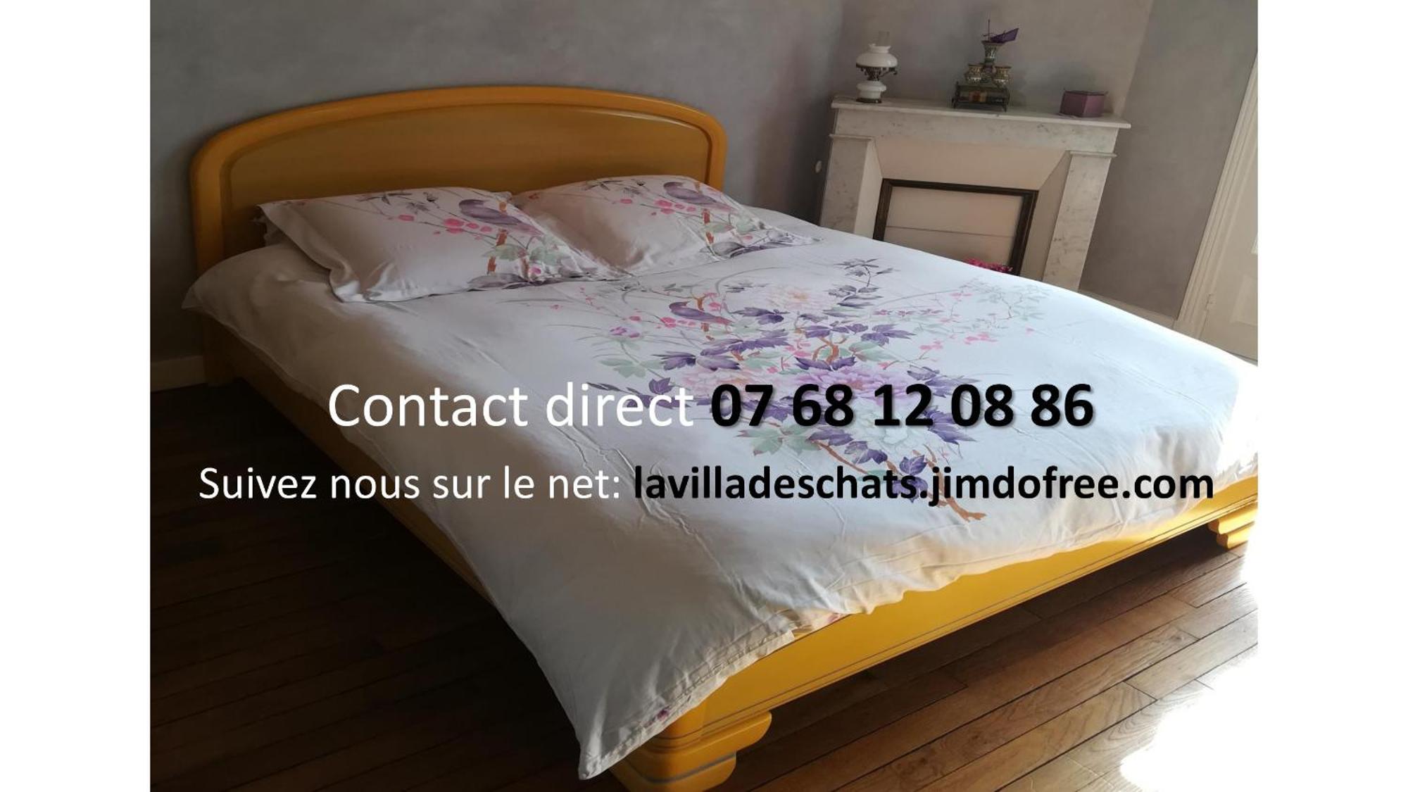 La Villa Des Chats Andresy Luaran gambar