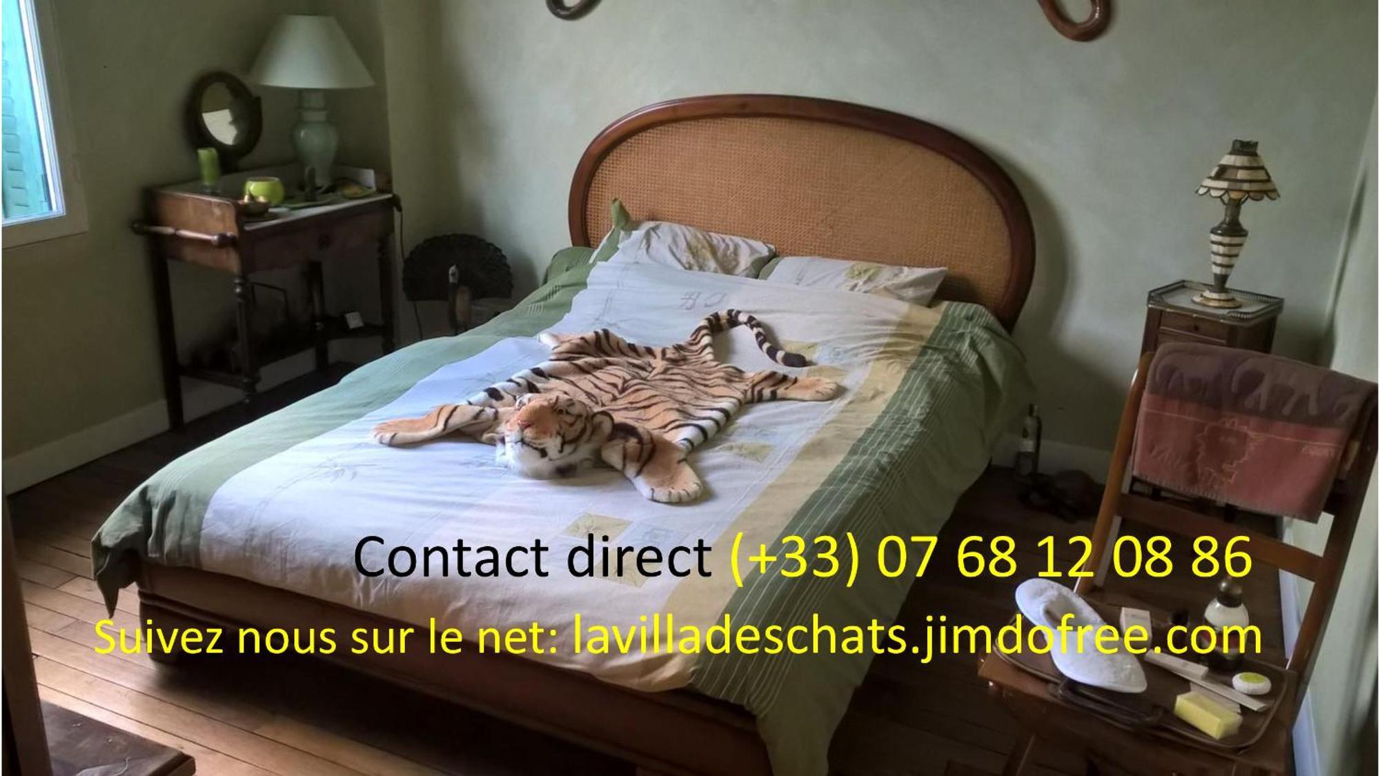 La Villa Des Chats Andresy Luaran gambar