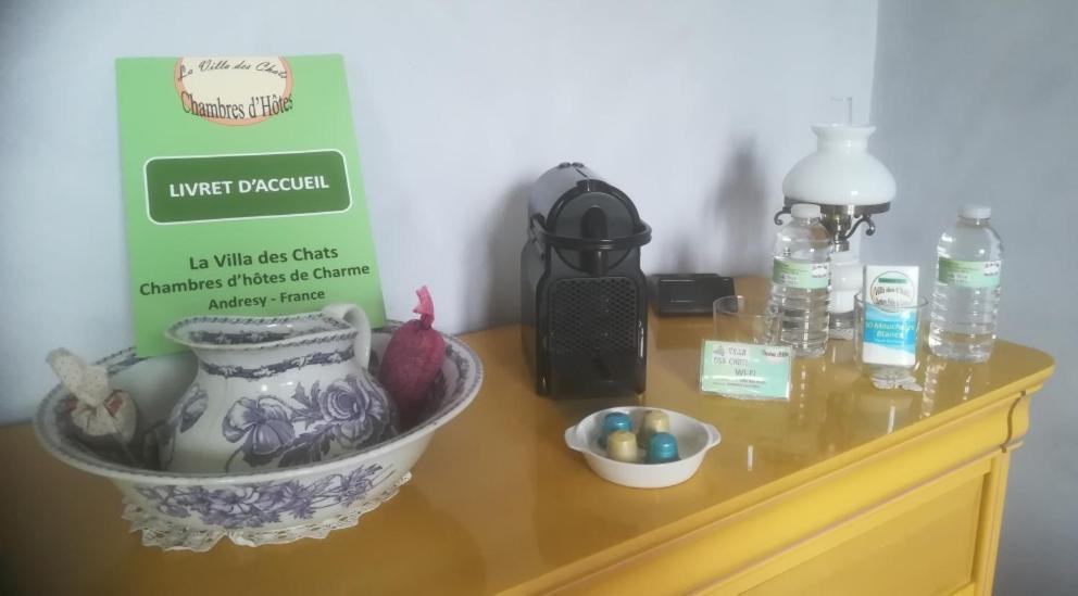 La Villa Des Chats Andresy Luaran gambar